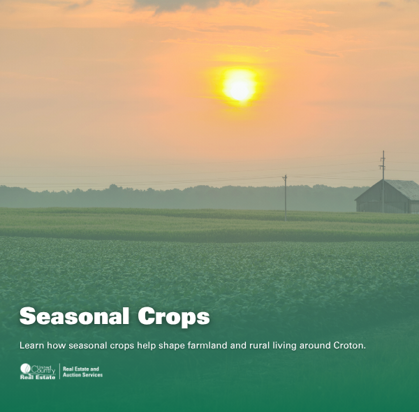 Seasonal Crops In Central Ohio